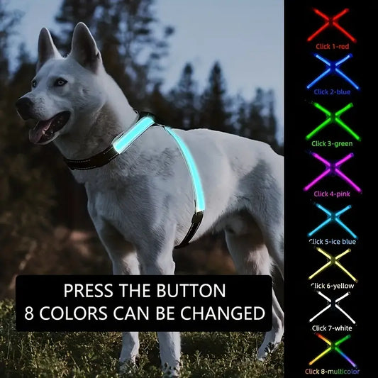 LED Dog Harness – 8 Colors, USB Rechargeable