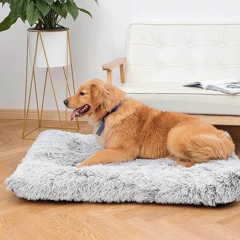 PlushPaws™ Removable Soft Calming Pet Bed Mat for Dogs &amp; Cats
